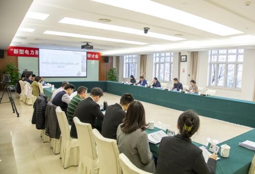 盤古智庫與國網(wǎng)黨校 國網(wǎng)領(lǐng)導(dǎo)科學(xué)研究院 聯(lián)合舉辦新型電力系統(tǒng)構(gòu)建研討會