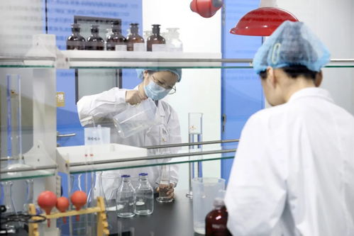 山東人的菊苣百億電力夢(mèng) 一株小植物如何點(diǎn)亮科研與經(jīng)濟(jì)的未來(lái)